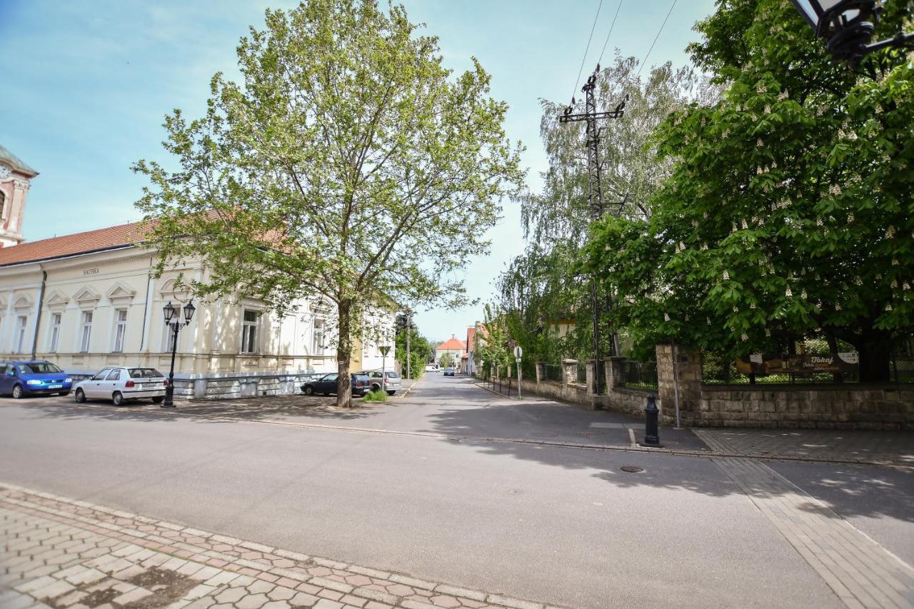 Boralom Studio Apartman Tokaj Eksteriør bilde